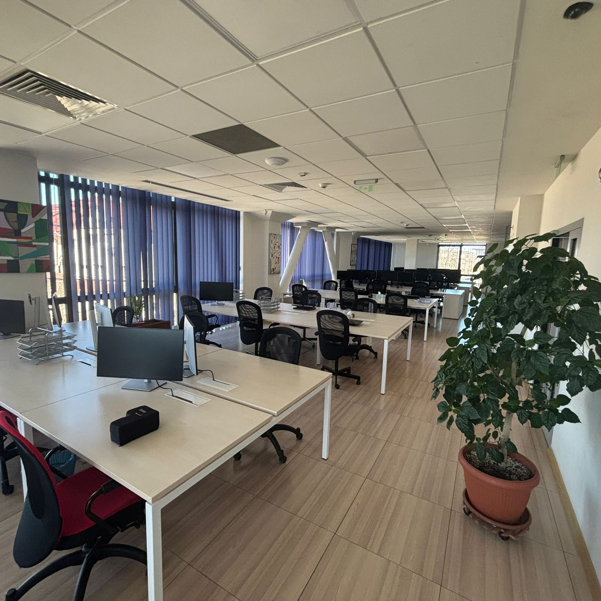 Professional working in elegant coworking space