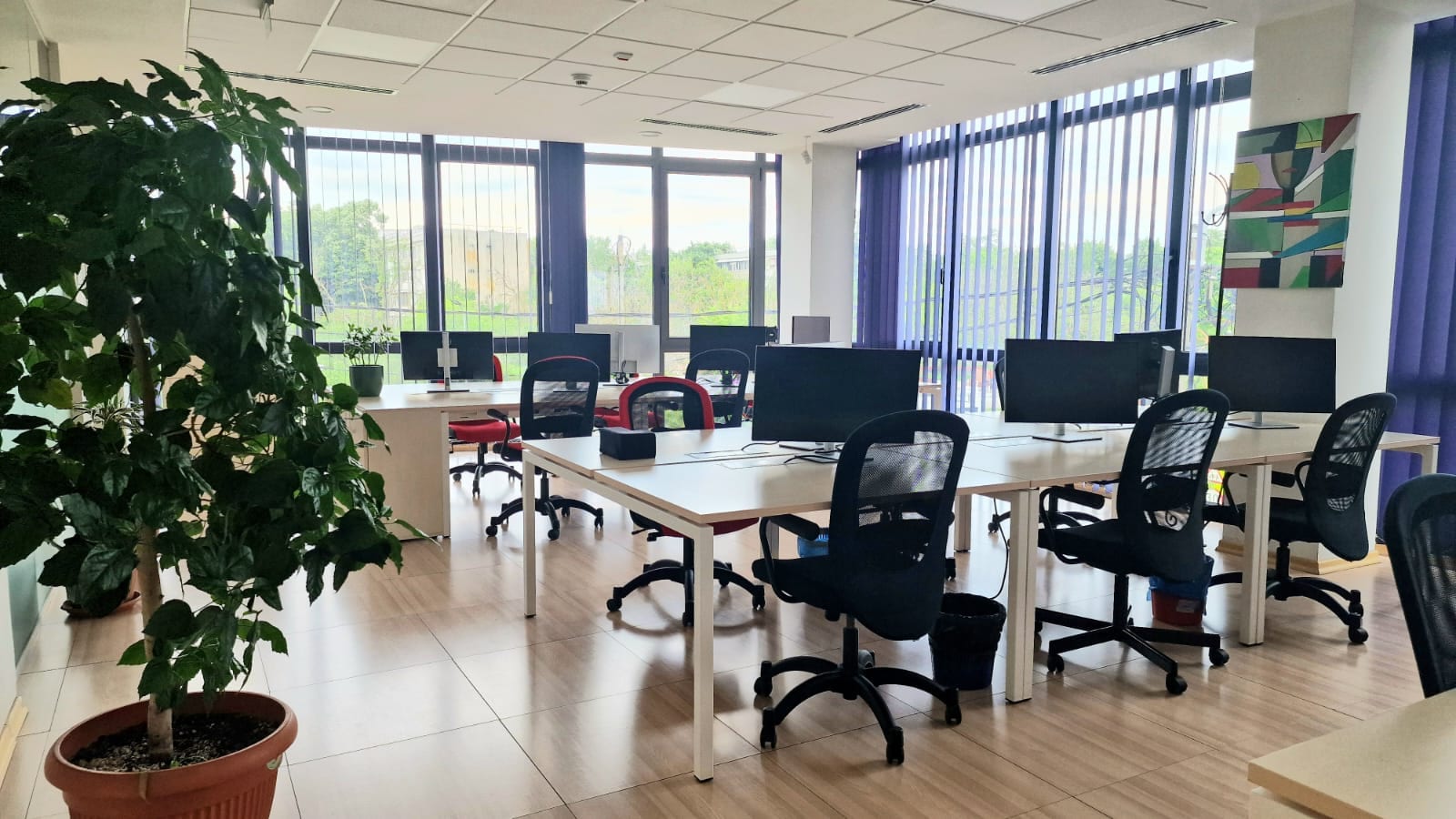 Main coworking area with natural light